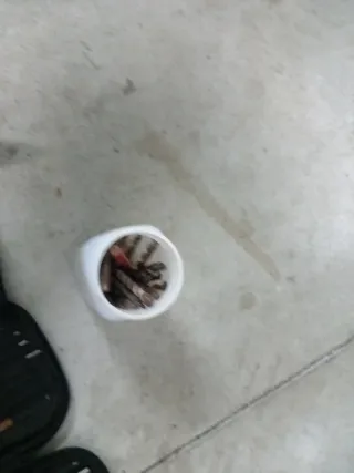 Taladro Ratio TR750NM + Set Brocas