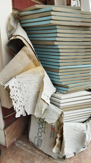 2m2 Azulejos Hexagonales Blanco y Azul