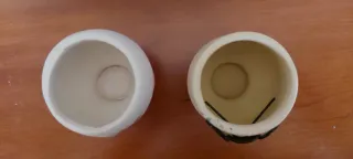 Lote 2 mini macetas cactus decorativas caras