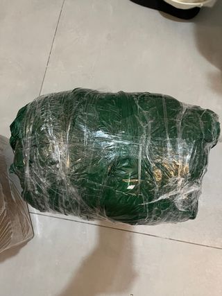 Escalera para perros verde