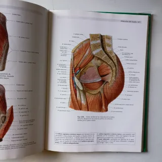 Sobotta Anatomía humana
