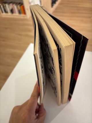 Agujero negro (Novela gráfica) (Spanish Edition)