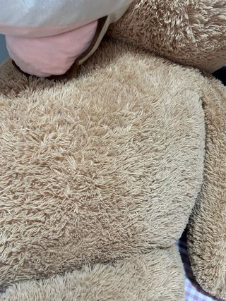 Oso de peluche gigante marrón