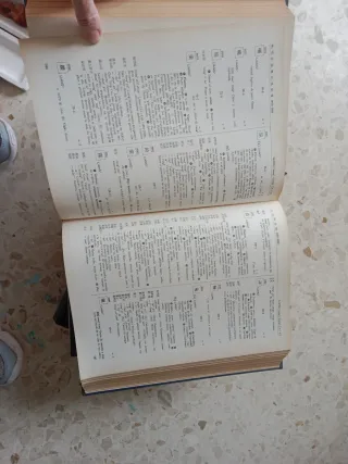 Dicc.español lengua china (Spanish Edition)