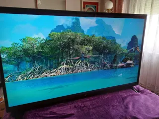 Televisión LG 55"smart tv 4k WiFi