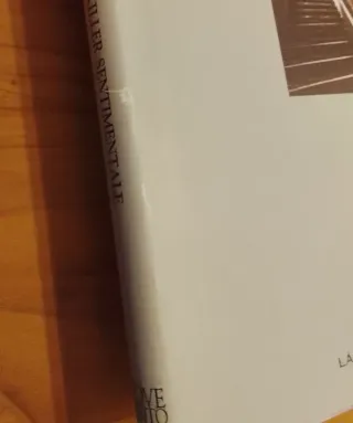 Luis Sepulveda, Diario Di Un Killer Sentimentale