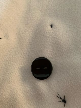 Cappottino bianco donna taglia S