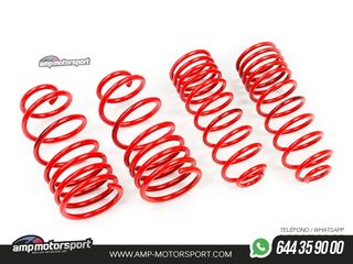 MUELLES DEPORTIVOS MTS TECHNIK MTSXBM131