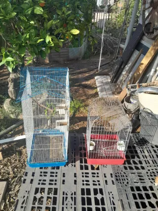 Dos jaulas para pájaros