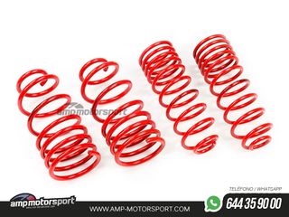 MUELLES DEPORTIVOS MTS TECHNIK MTSXFO005