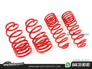 MUELLES DEPORTIVOS MTS TECHNIK MTSXVW441