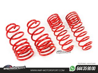 MUELLES DEPORTIVOS MTS TECHNIK MTSXSK147