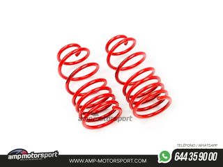 MUELLES DEPORTIVOS MTS TECHNIK MTSXFI019