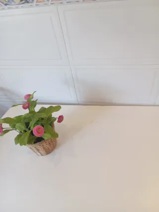 Mesa de comedor de madera blanca