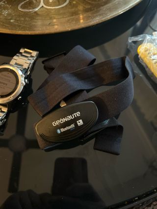 Garmin Fenix 3 Plata