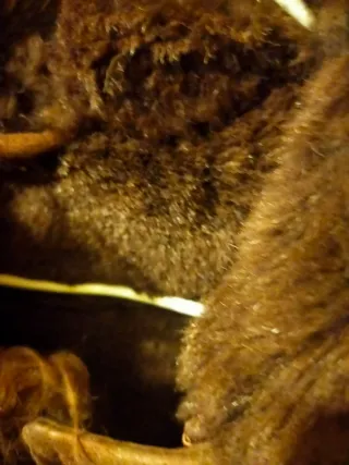 Abrigo infantil marrón con pelo. Piel auténtica