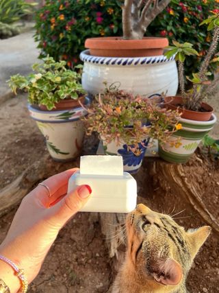 Impresora Térmica Portátil Sin Tinta