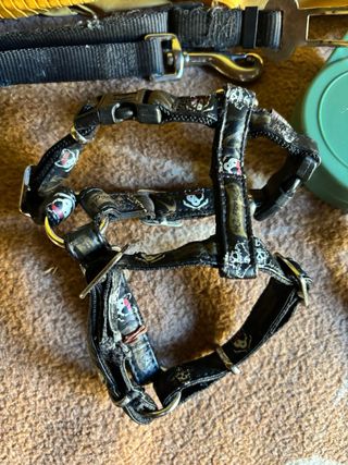 Lote Accesorios Perro: Arneses y Correas varias