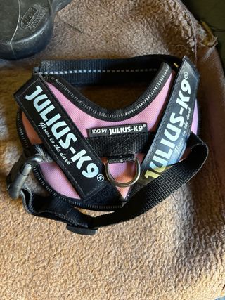 Lote Accesorios Perro: Arneses y Correas varias