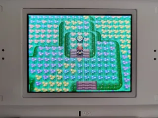 POKEDEX COMPLETA Pokemon Diamante DS con EVENTI