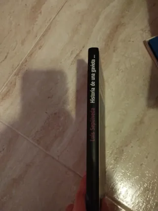 Historia de una gaviota y del gato que le enseñ...