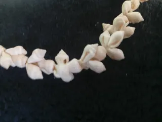 Collar artesano de conchas marinas