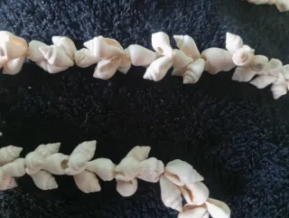 Collar artesano de conchas marinas