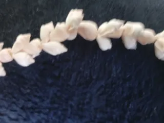 Collar artesano de conchas marinas