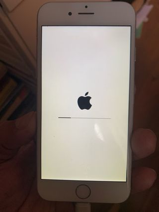 iPhone 8 Argento con bianco