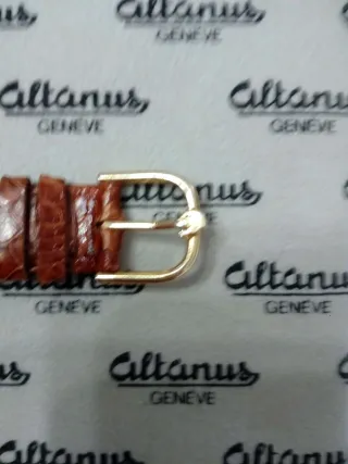 Cronografo Altanus Geneve