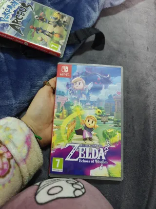 The Legend of Zelda: Echoes of Wisdom Switch