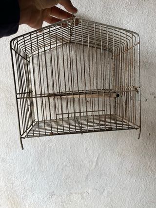 Jaulas para pájaros (verdes y rojas)