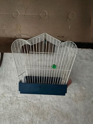 Jaulas para pájaros (verdes y rojas)