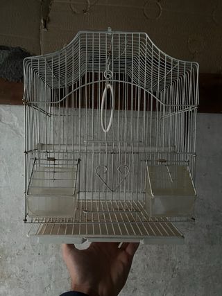 Jaulas para pájaros (verdes y rojas)