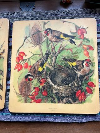 Ilustraciones antiguas de aves y flores.