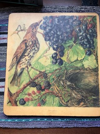 Ilustraciones antiguas de aves y flores.