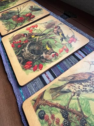 Ilustraciones antiguas de aves y flores.