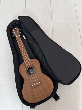 Ukelele Ashton UKEE500CBW + funda Fender