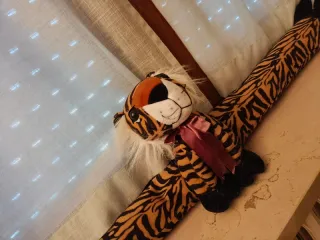 Para spifferi a forma di tigre  per finestre