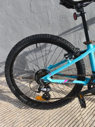 Orbea MX24