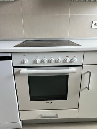 Horno y placa Fagor