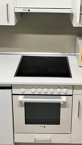 Horno y placa Fagor