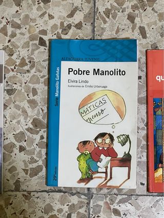 Lote libros lectura infantil-juvenil.