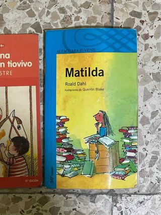 Lote libros lectura infantil-juvenil.