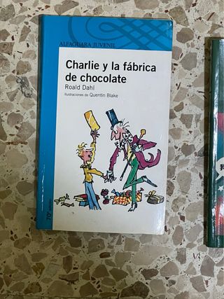 Lote libros lectura infantil-juvenil.