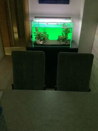 Acuario Completo