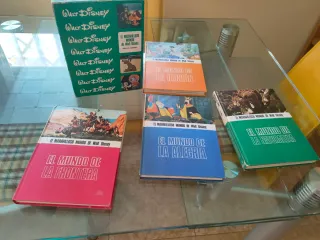 El maravilloso mundo de walt Disney
