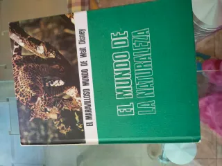 El maravilloso mundo de walt Disney