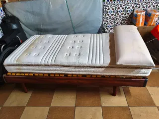 Cama ortopédica con grúa