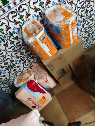 Cama ortopédica con grúa